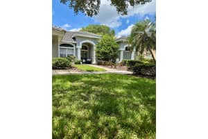 17818 Hickory Moss Pl, TAMPA