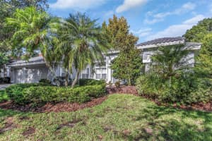 17818 HICKORY MOSS PLACE, TAMPA, FL 33647 - MLS#MFRTB8416429
