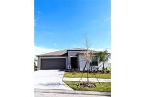 8598 PARSONS HILL BOULEVARD, WESLEY CHAPEL, FL 33545 - MLS#MFRTB8416479