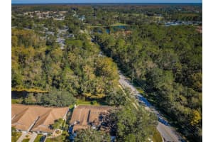 4399 BROOKER CREEK DRIVE, PALM HARBOR, FL 34685 - MLS#MFRTB8416486