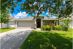 4517 Wild Plum Ln, LUTZ