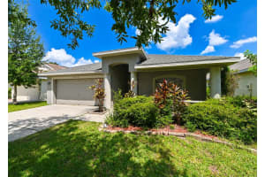 4517 WILD PLUM LANE, LUTZ, FL 33558 - MLS#MFRTB8416487