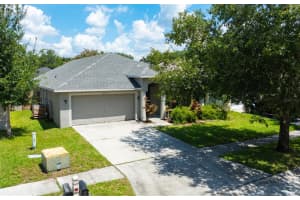 4517 WILD PLUM LANE, LUTZ, FL 33558 - MLS#MFRTB8416487