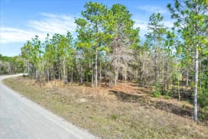 HONEYCREEPER RD, BROOKSVILLE, FL 34614 - MLS#MFRTB8416495