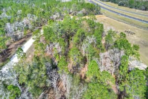 HONEYCREEPER RD, BROOKSVILLE, FL 34614 - MLS#MFRTB8416495