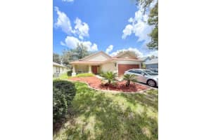 11018 LAUREL BROOK COURT, RIVERVIEW, FL 33569 - MLS#MFRTB8416525