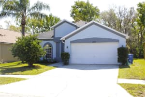 12510 Sparkleberry Rd, TAMPA