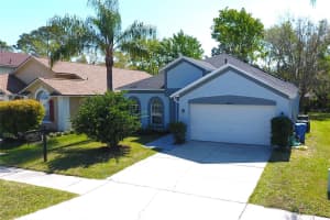 12510 SPARKLEBERRY ROAD, TAMPA, FL 33626 - MLS#MFRTB8416545