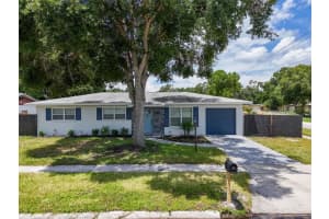 1501 Julian Lane Dr, TAMPA