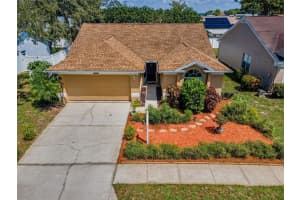 2991 Sean Way, PALM HARBOR