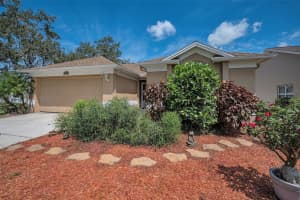 2991 SEAN WAY, PALM HARBOR, FL 34684 - MLS#MFRTB8416572