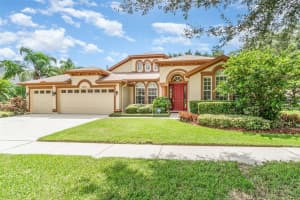 15311 Vireoglen Ln, LITHIA