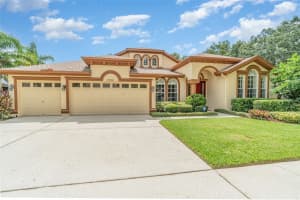 15311 VIREOGLEN LANE, LITHIA, FL 33547 - MLS#MFRTB8416603