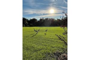 12705 MCINTOSH GROVES LANE, THONOTOSASSA, FL 33592 Sold 10/31/25