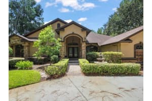 412 PINE BLUFF DRIVE, LUTZ, FL 33549 - MLS#MFRTB8416616
