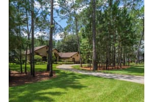412 PINE BLUFF DRIVE, LUTZ, FL 33549 - MLS#MFRTB8416616