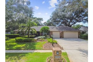 18104 Woodcreek Pl, LUTZ