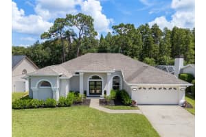 5609 Piney Lane Dr, TAMPA