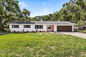 12415 Palm Tree Dr, THONOTOSASSA