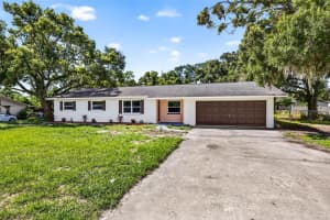 12415 PALM TREE DRIVE, THONOTOSASSA, FL 33592 - MLS#MFRTB8416671