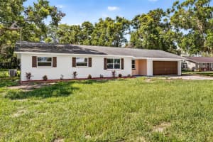 12415 PALM TREE DRIVE, THONOTOSASSA, FL 33592 - MLS#MFRTB8416671