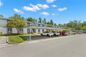121 CYPRESS LANE, OLDSMAR, FL 34677 - MLS#MFRTB8416676