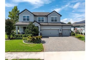 12148 HOMESTEADER AVENUE, ODESSA, FL 33556 - MLS#MFRTB8416678