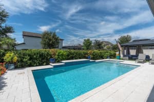 12148 HOMESTEADER AVENUE, ODESSA, FL 33556 - MLS#MFRTB8416678