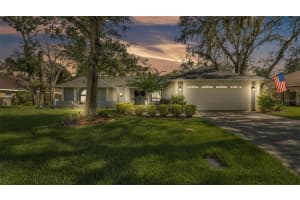 2713 Laurel Oak Dr, PLANT CITY