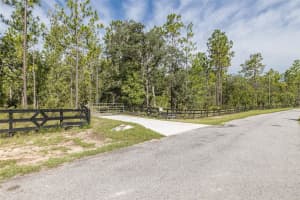 15043 HIDDEN DEER TRAIL, BROOKSVILLE, FL 34614 - MLS#MFRTB8416689