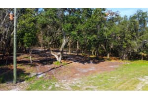 14004 PEACE BOULEVARD, SPRING HILL, FL 34610 - MLS#MFRTB8416692