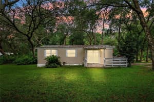 35117 CHESHIRE STREET, DADE CITY, FL 33523 - MLS#MFRTB8416710