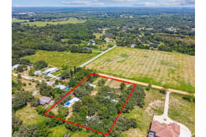 1101 BIRD ROAD, DAVENPORT, FL 33837 - MLS#MFRTB8416725