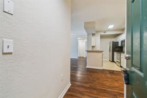 17108 CARRINGTON PARK DRIVE, TAMPA, FL 33647 - MLS#MFRTB8416742