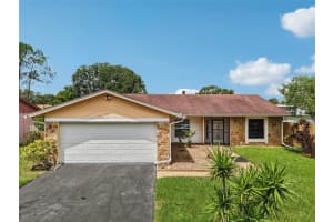 15908 Countrybrook St, TAMPA