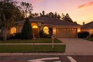 9623 FOX HEARST ROAD, TAMPA, FL 33647 - MLS#MFRTB8416795