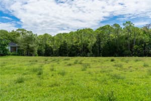 4050 JEWFISH DRIVE, HERNANDO BEACH, FL 34607 - MLS#MFRTB8416863