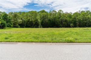 4050 JEWFISH DRIVE, HERNANDO BEACH, FL 34607 - MLS#MFRTB8416863