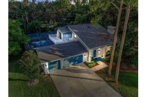 3130 TARPON WOODS BOULEVARD, PALM HARBOR, FL 34685 - MLS#MFRTB8416881