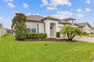 12533 PALAPA LOOP, SPRING HILL, FL 34610 - MLS#MFRTB8416893