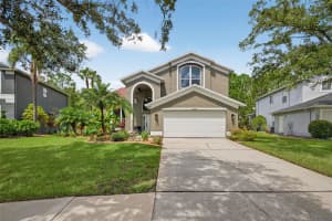 13230 ROYAL GEORGE AVENUE, ODESSA, FL 33556 - MLS#MFRTB8416935