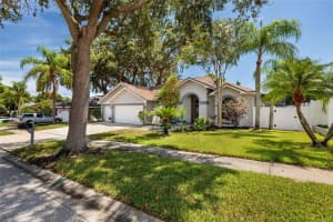 761 SUNFLOWER DRIVE, PALM HARBOR, FL 34683 - MLS#MFRTB8416946