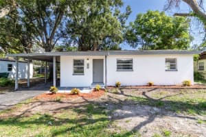 2415 E Annie St, TAMPA