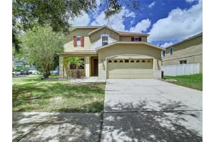 10617 Bamboo Rod Cir, RIVERVIEW