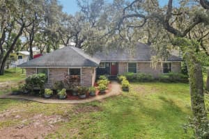 11512 RAULERSON ROAD, LITHIA, FL 33547 - MLS#MFRTB8416997