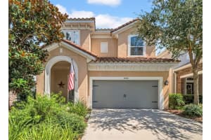 14248 Natures Reserve Dr, LITHIA