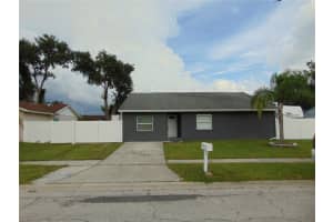 13905 Pathfinder Dr, TAMPA