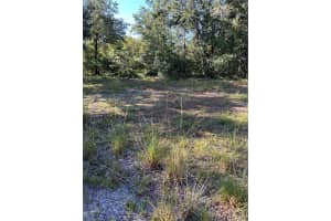QUAIL HOLLOW BLVD BLVD, WESLEY CHAPEL, FL 33544 - MLS#MFRTB8417062