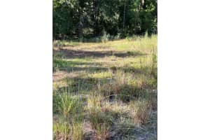 QUAIL HOLLOW BLVD BLVD, WESLEY CHAPEL, FL 33544 - MLS#MFRTB8417062