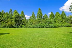 1213 MERRY WATER DRIVE, LUTZ, FL 33548 - MLS#MFRTB8417071